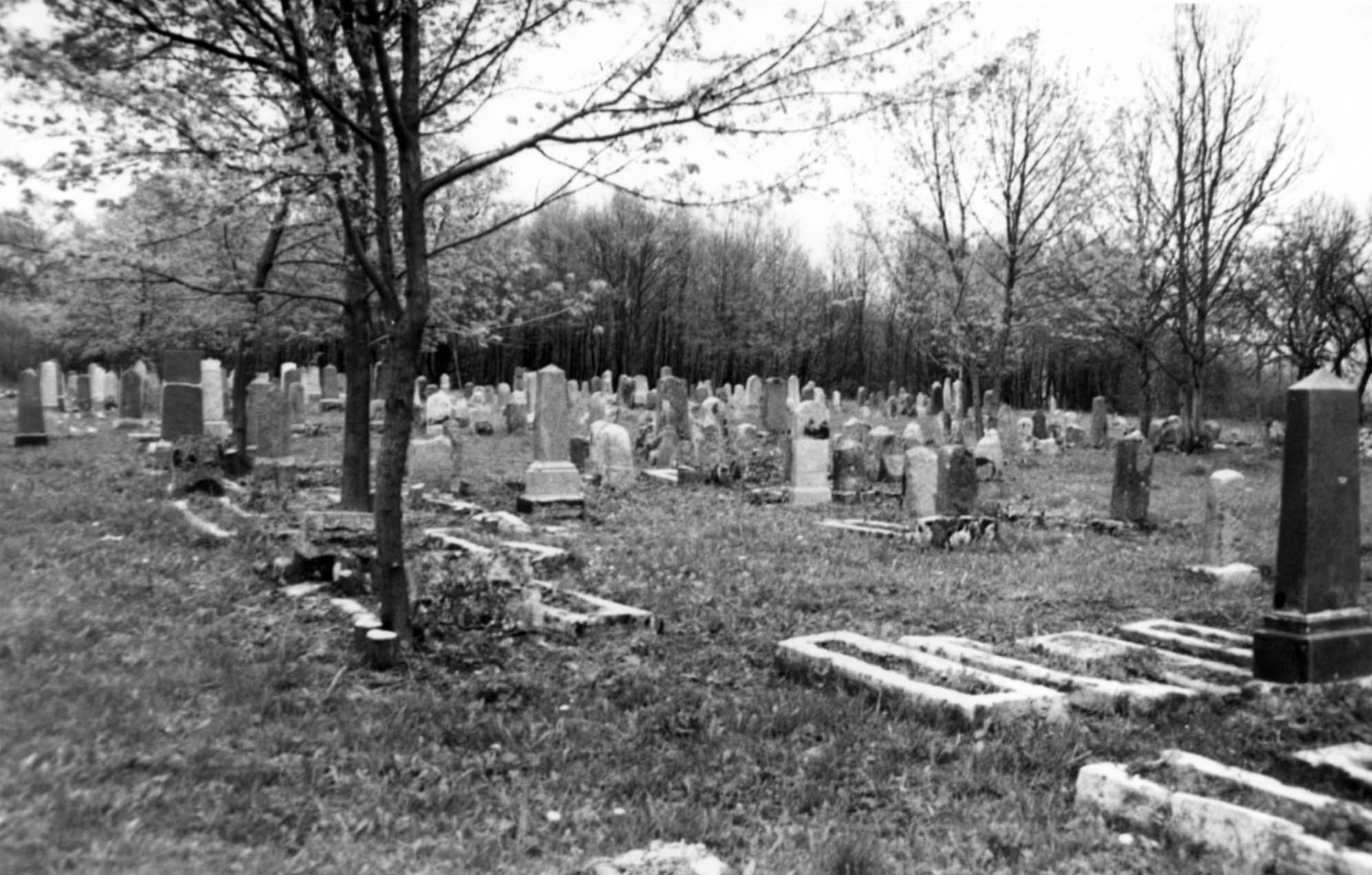 The Jewish cemetery in Jurbarkas